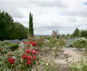 Crystal Brook Lavender Farm - Darwin Holiday 0