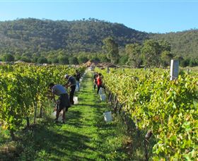 Savina Lane Premum Wines - Darwin Holiday 1