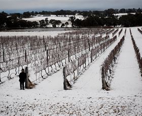 Savina Lane Premum Wines - Darwin Holiday 2