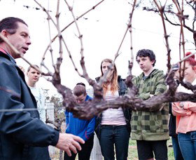 Varias Restaurant And Conference Centre Incorporating Banca Ridge Winery Cellar Door - Darwin Holiday 3