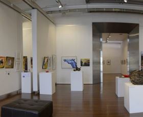 Muswellbrook Regional Arts Centre - Darwin Holiday 0