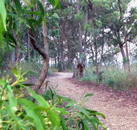 Mount Mutton Walking Trail - Darwin Holiday