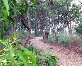 Mount Mutton Walking Trail - Darwin Holiday 0