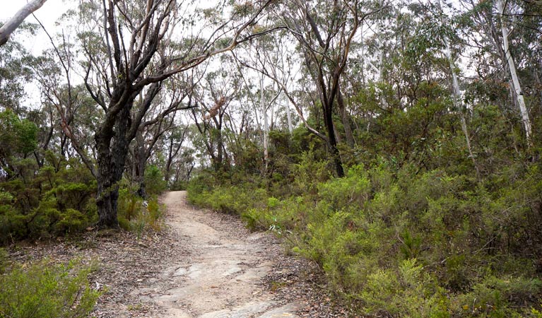 Ganbenang NSW Darwin Holiday