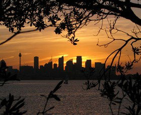 Joeys Walkabout - Darwin Holiday 6