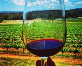 One Day Hunter Valley Day Tours And East Coast Adventures - Zepher Tours - Darwin Holiday 4