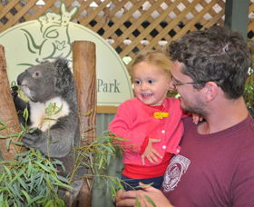 Blue Diamond Tours - Darwin Holiday 0