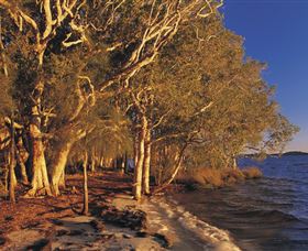 East Coast Adventure Bus - Darwin Holiday 2