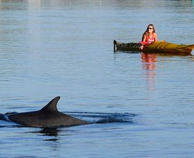 East Coast Adventure Bus - Darwin Holiday 1