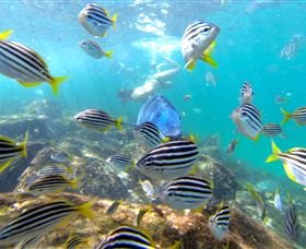 EcoTreasures - Darwin Holiday 0