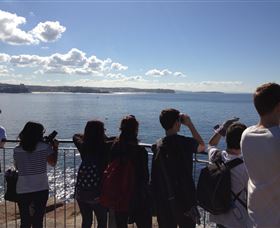 EcoTreasures - Darwin Holiday 3