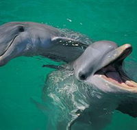 Colourful Trips - Darwin Holiday