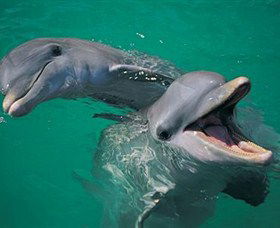 Colourful Trips - Darwin Holiday 0