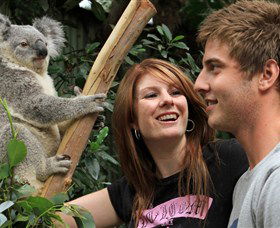 Colourful Trips - Darwin Holiday 3