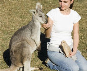 Colourful Trips - Darwin Holiday 4