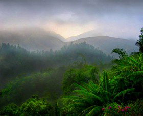 Dingo Tours - Darwin Holiday 2