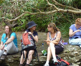 Dingo Tours - Darwin Holiday 1