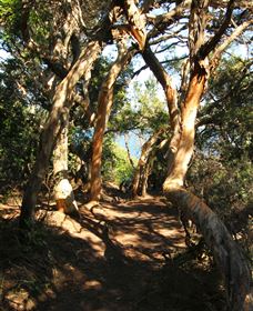 My Walking Detour - Darwin Holiday 6