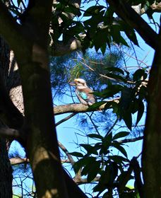 My Walking Detour - Darwin Holiday 5