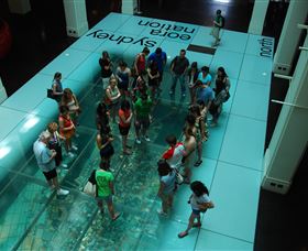 I'm Free Tours - Darwin Holiday 1