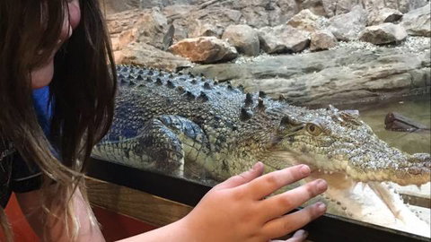 Canberra Reptile Zoo - Darwin Holiday 3