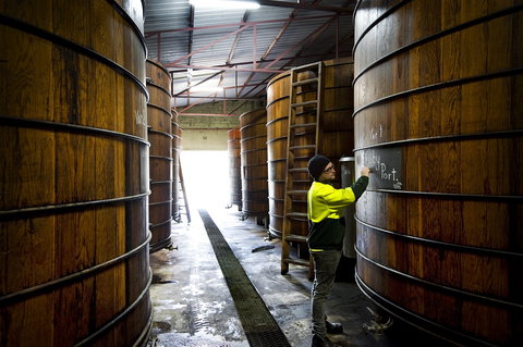 Patritti - Darwin Holiday 1