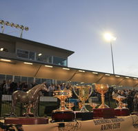 Bathurst Harness Racing Club - Darwin Holiday