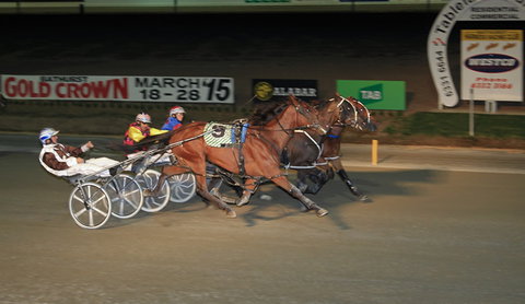 Bathurst Harness Racing Club - Darwin Holiday 3