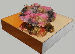 Artereal - Darwin Holiday 1