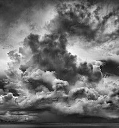 Annandale Galleries - Darwin Holiday 0
