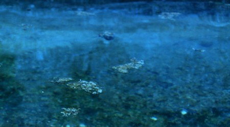 Anna Schwartz Gallery Sydney - Darwin Holiday 2