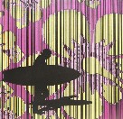 Iain Dawson Gallery - Darwin Holiday 2