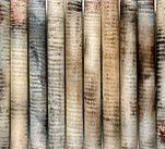 Kerrie Lowe Gallery - Darwin Holiday 0