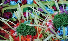 Kerrie Lowe Gallery - Darwin Holiday 1