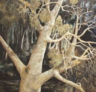 Ku-Ring-Gai Art Centre  Gallery - Darwin Holiday