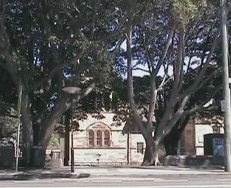 Rozelle Weekend Markets - Darwin Holiday 0