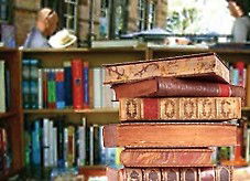 Rozelle Weekend Markets - Darwin Holiday 3