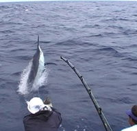 Amokura Charters - Darwin Holiday