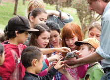 Blackbutt Reserve - Darwin Holiday 2