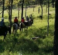 Hunter Valley Horse Riding and Adventures - Darwin Holiday