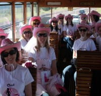 Newcastles Famous Tram - Darwin Holiday