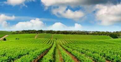 Sydney Weekend Adventures - Darwin Holiday 2