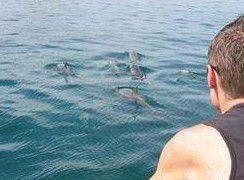 Tex Tours - Darwin Holiday 3