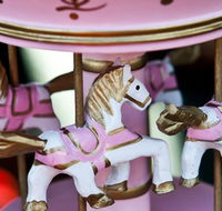 Newcastle City Farmers Markets - Darwin Holiday