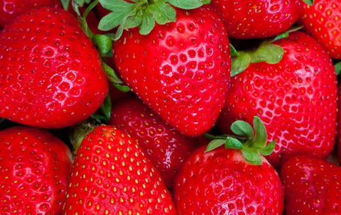 Newcastle City Farmers Markets - Darwin Holiday 2