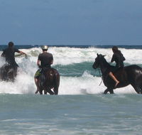 Pegasus Park Equestrian Centre - Darwin Holiday