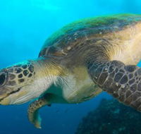 Byron Bay Dive Centre - Darwin Holiday