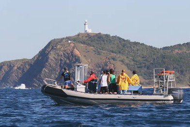 Byron Bay Dolphin Wildlife Tours - Darwin Holiday 1