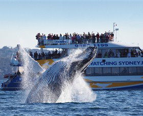 Sydney City NSW Darwin Holiday