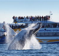 Bass  Flinders Cruises - Darwin Holiday